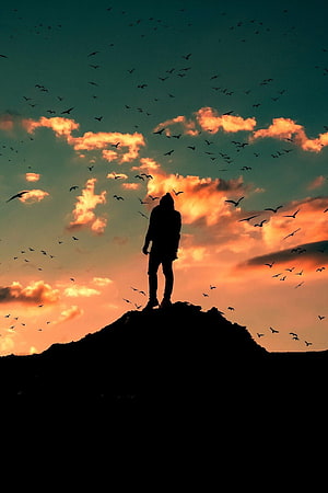 Silhouette of a lone figure standing on a hilltop against a vibrant sunset sky filled with a flock of birds HD phone wallpaper