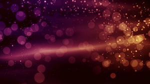 Abstract Purple and Gold Bokeh Light Particles Background HD wallpaper