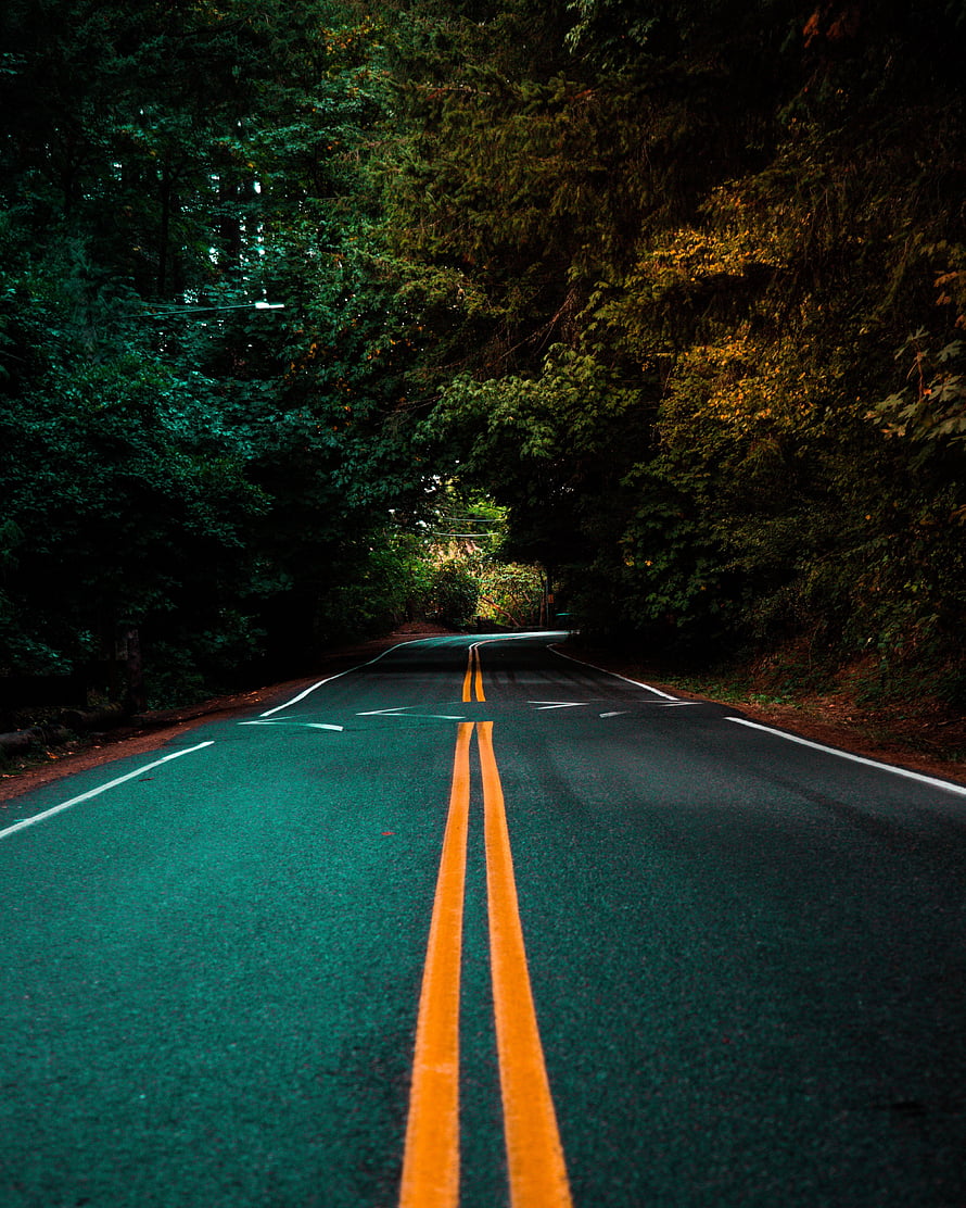 Winding Forest Road With Double Yellow Lines Disappearing Into Dense Green Canopy HD phone wallpaper