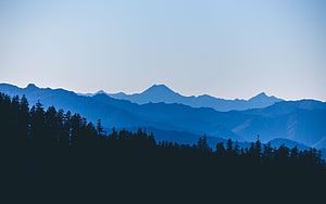 Serene Blue Mountain Range with Pine Forest Silhouette at Dusk HD wallpaper
