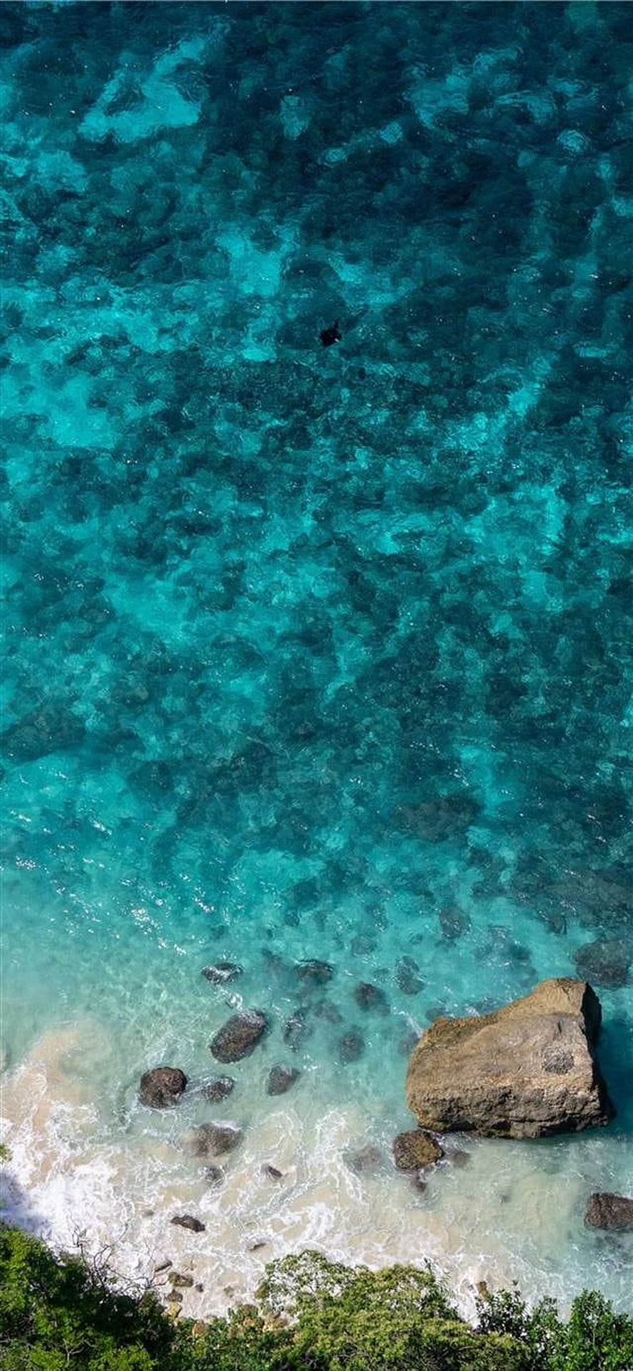 Aerial View of Turquoise Ocean Water and Rocky Shoreline with Lush Green Vegetation HD phone wallpaper