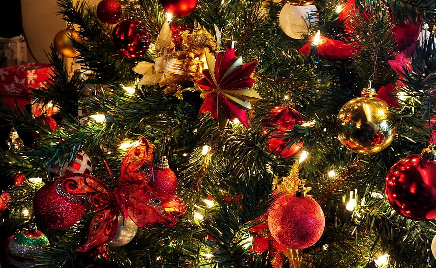 Close-up of a decorated Christmas tree with red and gold ornaments, star topper, and warm string lights HD wallpaper