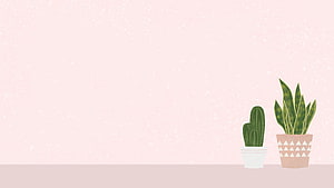 Minimalist Pastel Pink Background with Potted Cactus and Snake Plant Illustration HD wallpaper