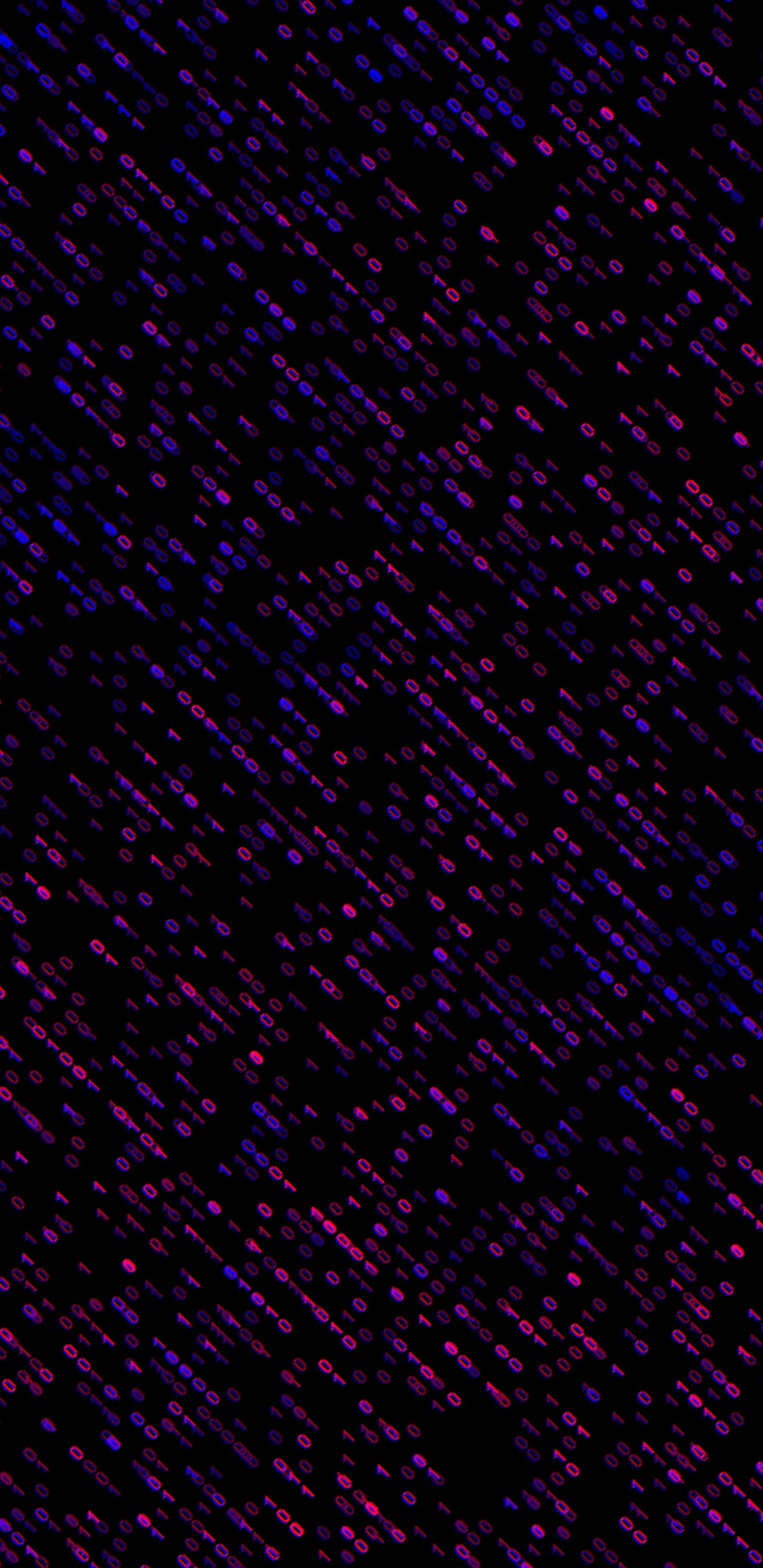 Glowing Binary Code Pattern on Black Background with Neon Purple and Blue Digital Aesthetic HD phone wallpaper