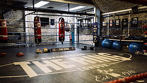 The Ring Boxing Club London Gym Interior with Heavy Bags and Training Equipment HD wallpaper