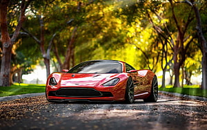 Red Aston Martin Vulcan Hypercar Parked on a Tree-Lined Road HD wallpaper