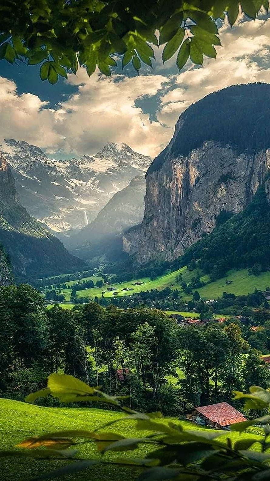 Alpine Valley Landscape with Snow-Capped Peaks and Lush Green Meadows HD phone wallpaper