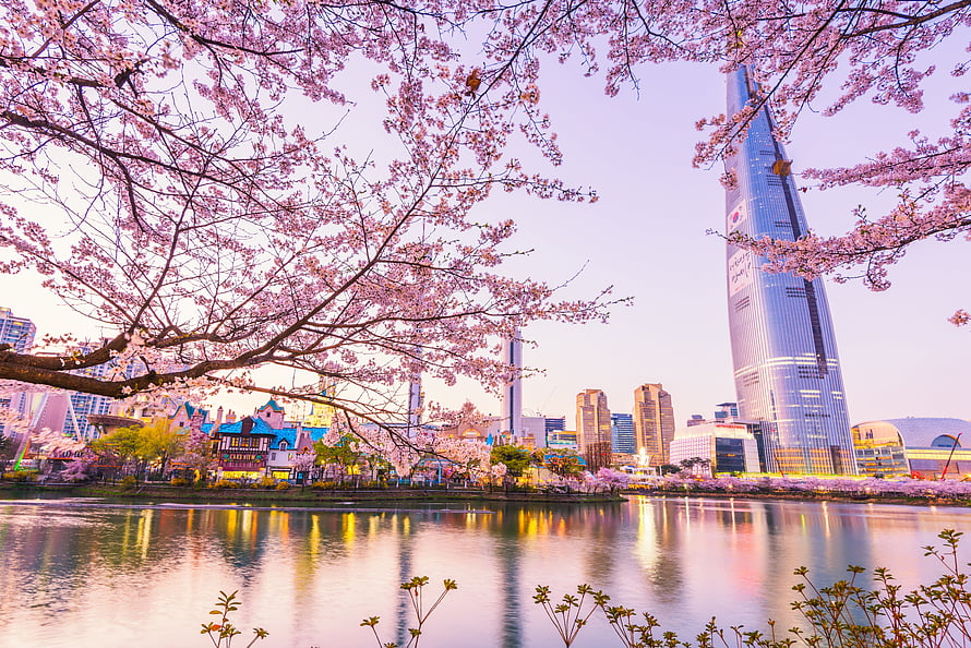 Seoul Cityscape with Blooming Cherry Blossoms and Lotte World Tower at Dusk HD wallpaper