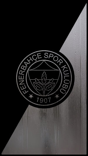 Fenerbahce Spor Kulubu Monochrome Club Emblem on Textured Wood Background HD phone wallpaper