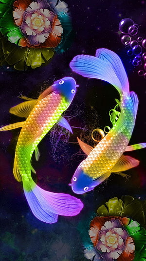 Vibrant Rainbow Koi Fish Swimming in Dark Water with Lotus Flowers and Bubbles HD phone wallpaper