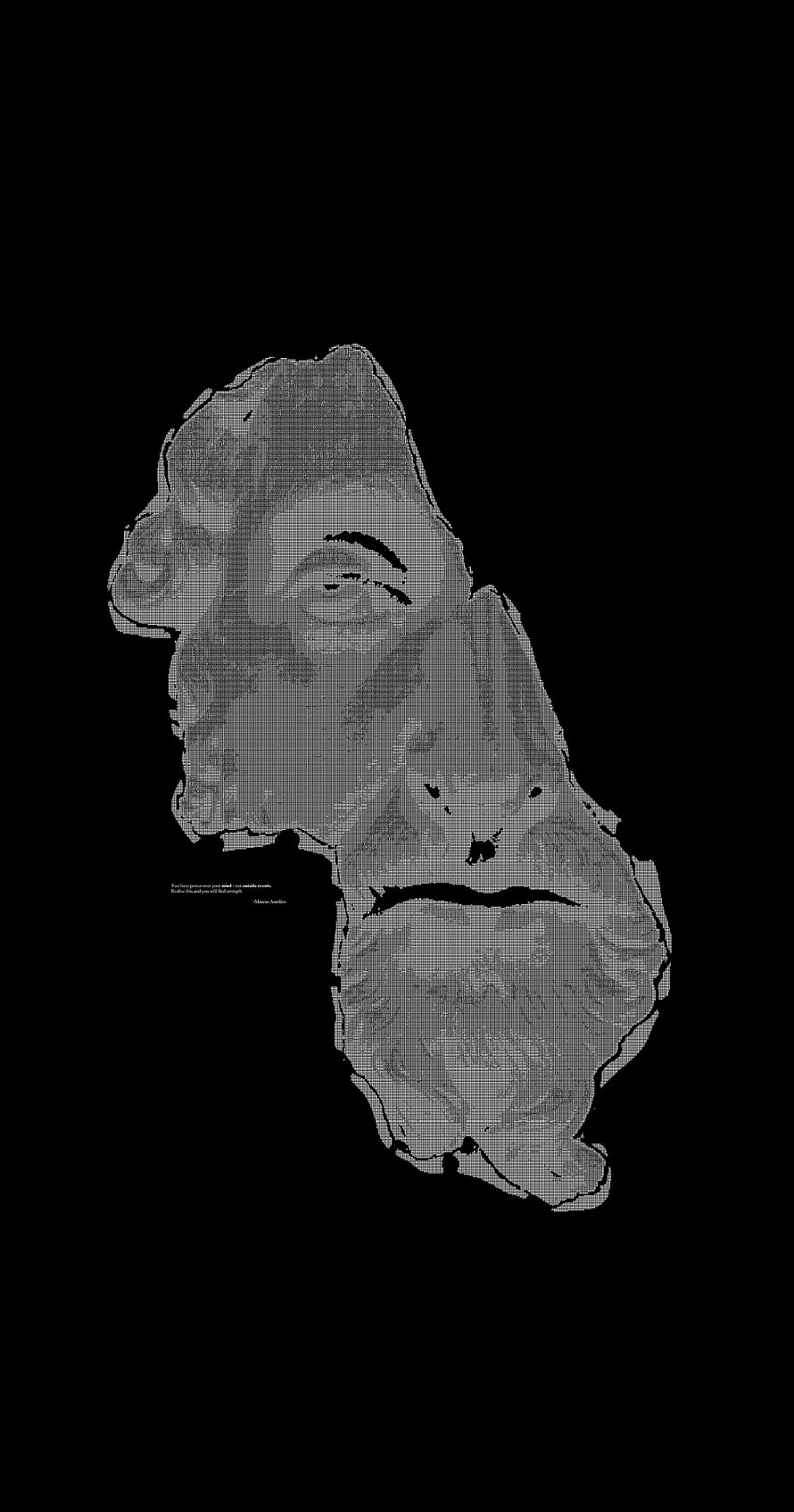 Marcus Aurelius ASCII Art Portrait in Monochrome Grayscale HD phone wallpaper
