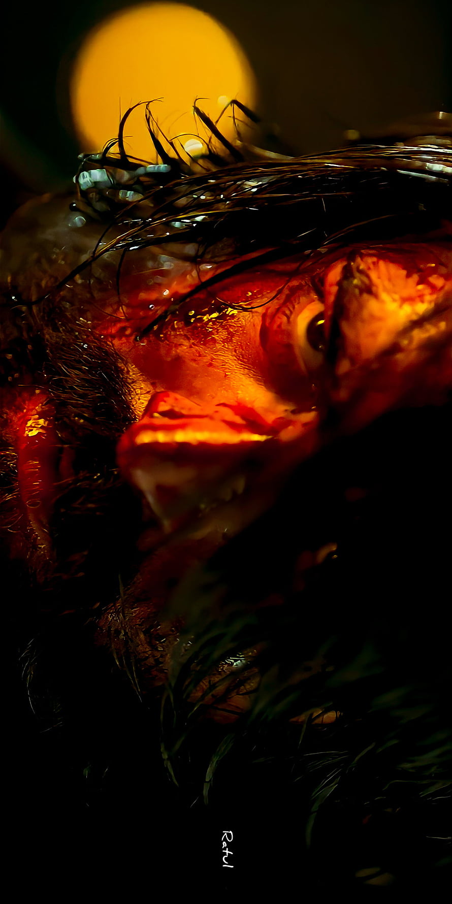 Rocky from KGF Chapter 2 in Dramatic Red Cinematic Lighting HD phone wallpaper