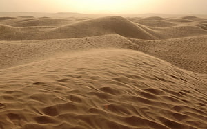 Golden Desert Dunes with Wind-Sculpted Ripples Under a Hazy Sky HD wallpaper