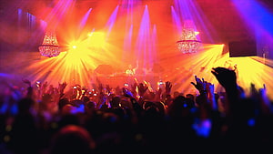 Vibrant nightclub crowd with raised hands under dramatic red and purple stage lighting HD wallpaper