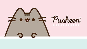 Cute Gray Pusheen Cat Peeking Over a White Surface on a Soft Pink Background HD wallpaper