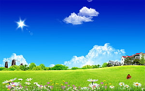 Vibrant Summer Meadow with Windmills, Daisies, and a Bright Blue Sky HD wallpaper