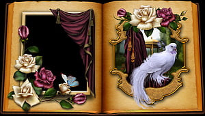 Open Book Illustration Featuring White Dove, Roses, and Draped Curtain in Ornate Frame HD wallpaper