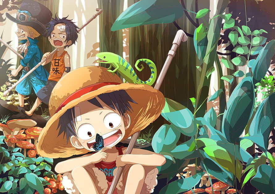 Young Monkey D. Luffy, Portgas D. Ace, and Sabo Exploring a Lush Jungle in One Piece HD wallpaper
