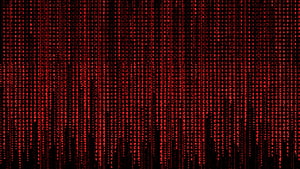 Red Digital Matrix Code Rain on Black Background HD wallpaper