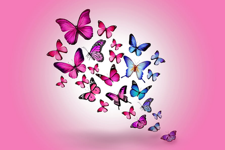 Colorful Butterfly Swarm Forming a Heart Shape on a Soft Pink Gradient Background HD wallpaper