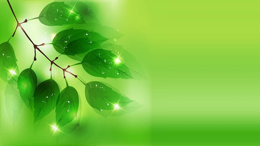 Vibrant Green Leaves with Sparkling Dew Drops on a Soft Gradient Background HD wallpaper