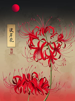 Red Spider Lily Higanbana Digital Art with Japanese Calligraphy and Red Sun HD phone wallpaper