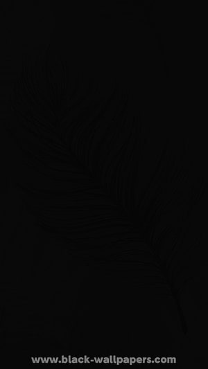 Minimalist Black Feather Line Art on Dark Background HD phone wallpaper