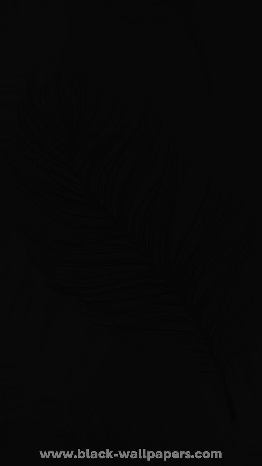 Minimalist Black Feather Line Art on Dark Background HD phone wallpaper