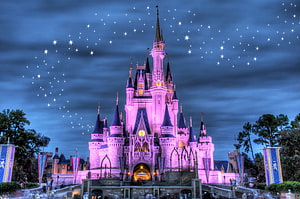 Cinderella Castle at Walt Disney World Illuminated in Pink Under a Starry Night Sky HD wallpaper
