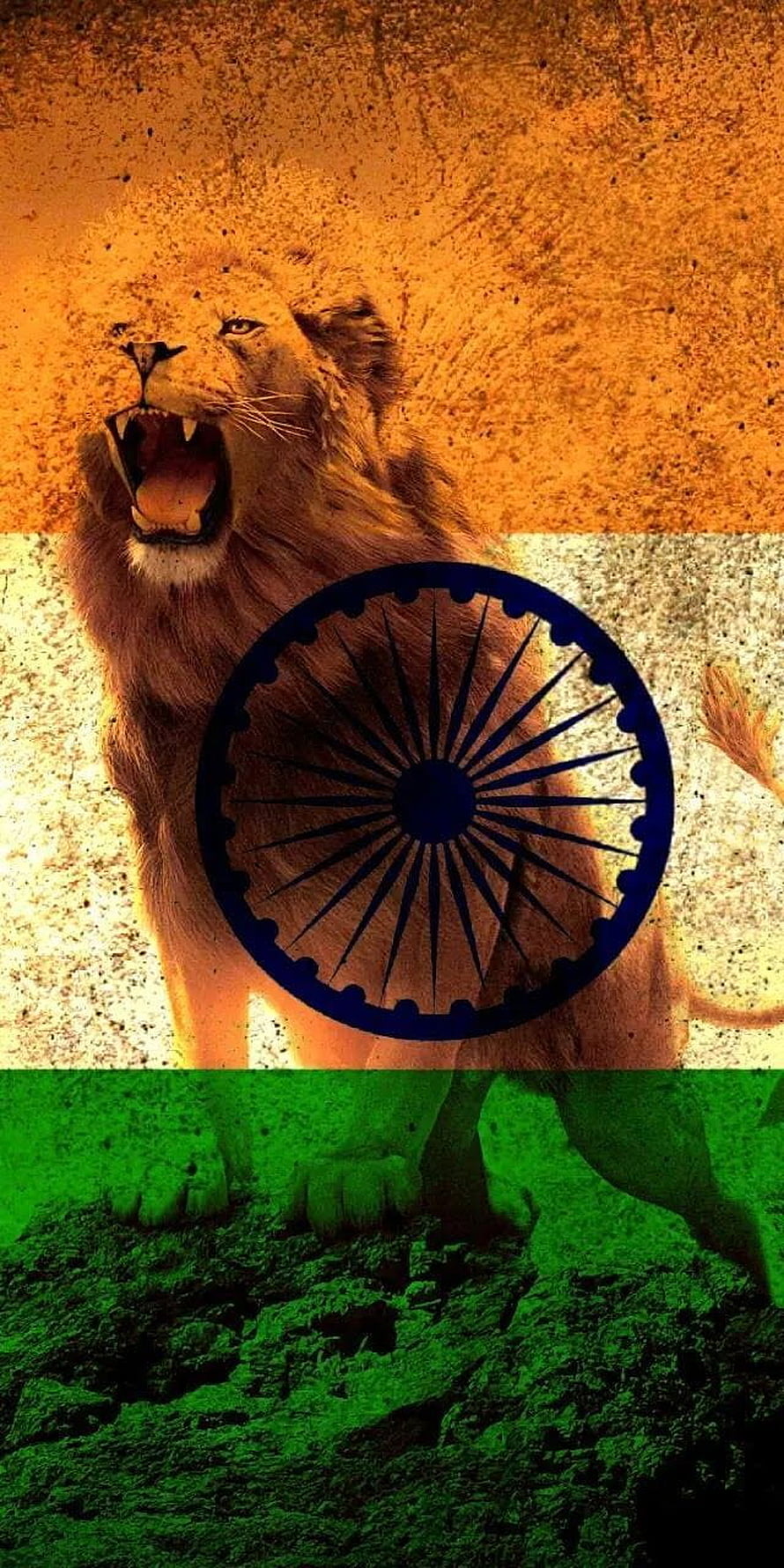 Majestic Lion Roaring Over Indian Flag With Ashoka Chakra HD phone wallpaper