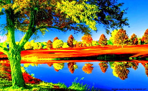 Vibrant Autumn Tree Reflection in a Calm Lake with Colorful Foliage HD wallpaper