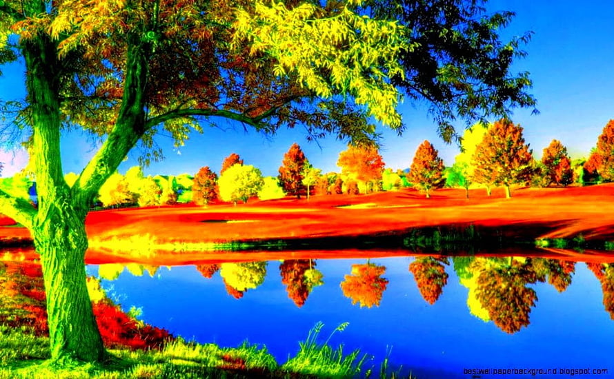 Vibrant Autumn Tree Reflection in a Calm Lake with Colorful Foliage HD wallpaper