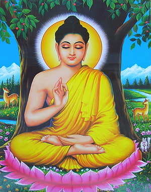 Siddhartha Gautama Buddha Meditating Under Bodhi Tree with Lotus and Deer HD phone wallpaper