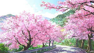 Anime-style cherry blossom road with pink sakura trees, green hills, and a bright spring sky HD wallpaper