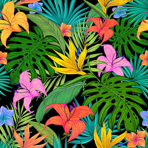 Vibrant Tropical Floral Pattern with Monstera Leaves and Colorful Lilies on Black Background HD phone wallpaper