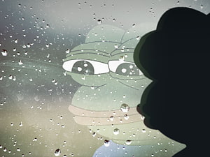 Sad Frog Meme Peering Through Rainy Window With Melancholic Expression HD wallpaper