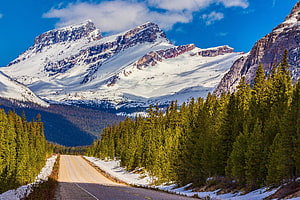 Winding Highway Through Snow-Capped Peaks and Evergreen Forest in Banff National Park HD wallpaper