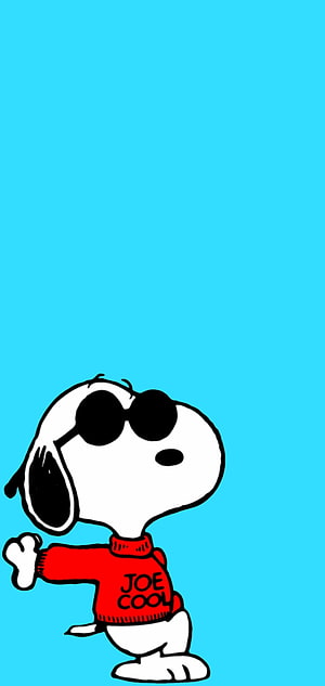 Snoopy in a red sweater and sunglasses on a solid cyan background HD phone wallpaper