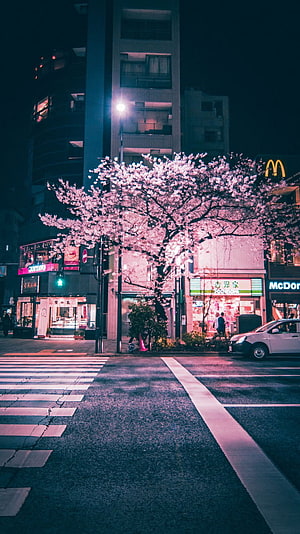 Glitch Art Tokyo Street Scene with Cherry Blossoms and Neon Color Shifts HD phone wallpaper