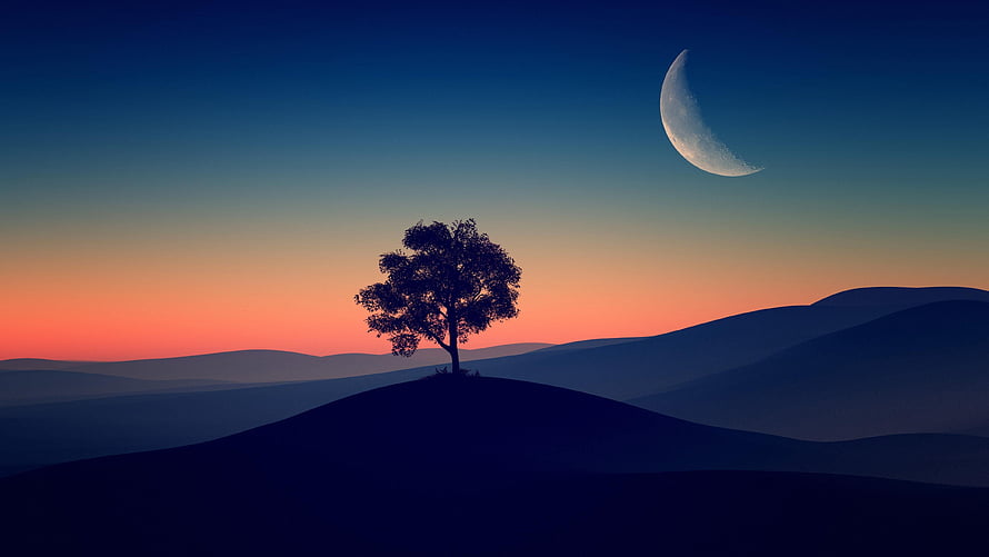 Lone Tree Silhouette on Rolling Hills Under Crescent Moon at Dusk HD wallpaper