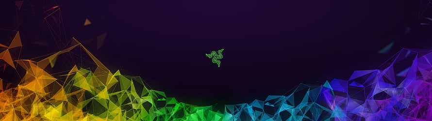 Razer RGB Geometric Low Poly Landscape with Triangular Wireframe Mountains HD wallpaper