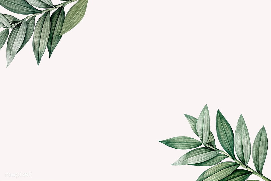 Minimalist Watercolor Botanical Leaf Frame on Cream Background HD wallpaper