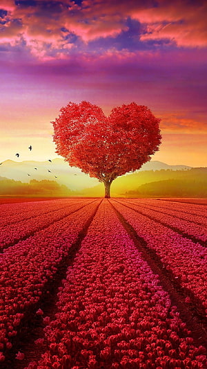 Heart-Shaped Tree in a Vibrant Red Flower Field at Sunset HD phone wallpaper