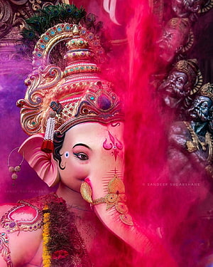 Ganesh adorned in ornate gold jewelry and peacock crown against vibrant pink powder background HD phone wallpaper