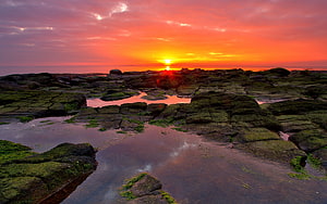 Vibrant sunset over mossy coastal rocks with calm water reflections and dramatic orange sky HD wallpaper