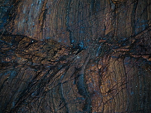 Close-up of wet tree bark with deep grooves and dark earthy tones HD wallpaper