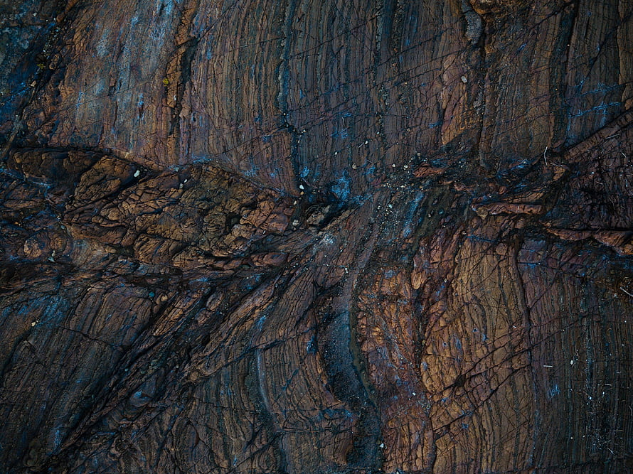 Close-up of wet tree bark with deep grooves and dark earthy tones HD wallpaper