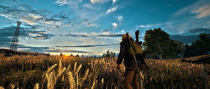 PUBG Mobile Survivor Walking Through Golden Wheat Field at Sunset HD wallpaper