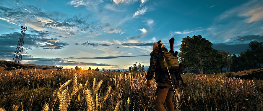 PUBG Mobile Survivor Walking Through Golden Wheat Field at Sunset HD wallpaper