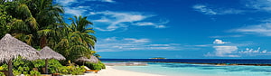 Tropical Beach Resort with Palm Trees and Turquoise Lagoon HD wallpaper
